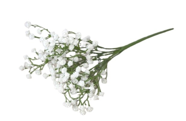 Gypsophila /nevěstin závoj - Dekorace a domácnost Dekorace Valentýn a svatba